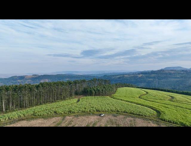 FARM FOR SALE IN MOUNT VERDE